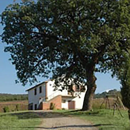 Rossello